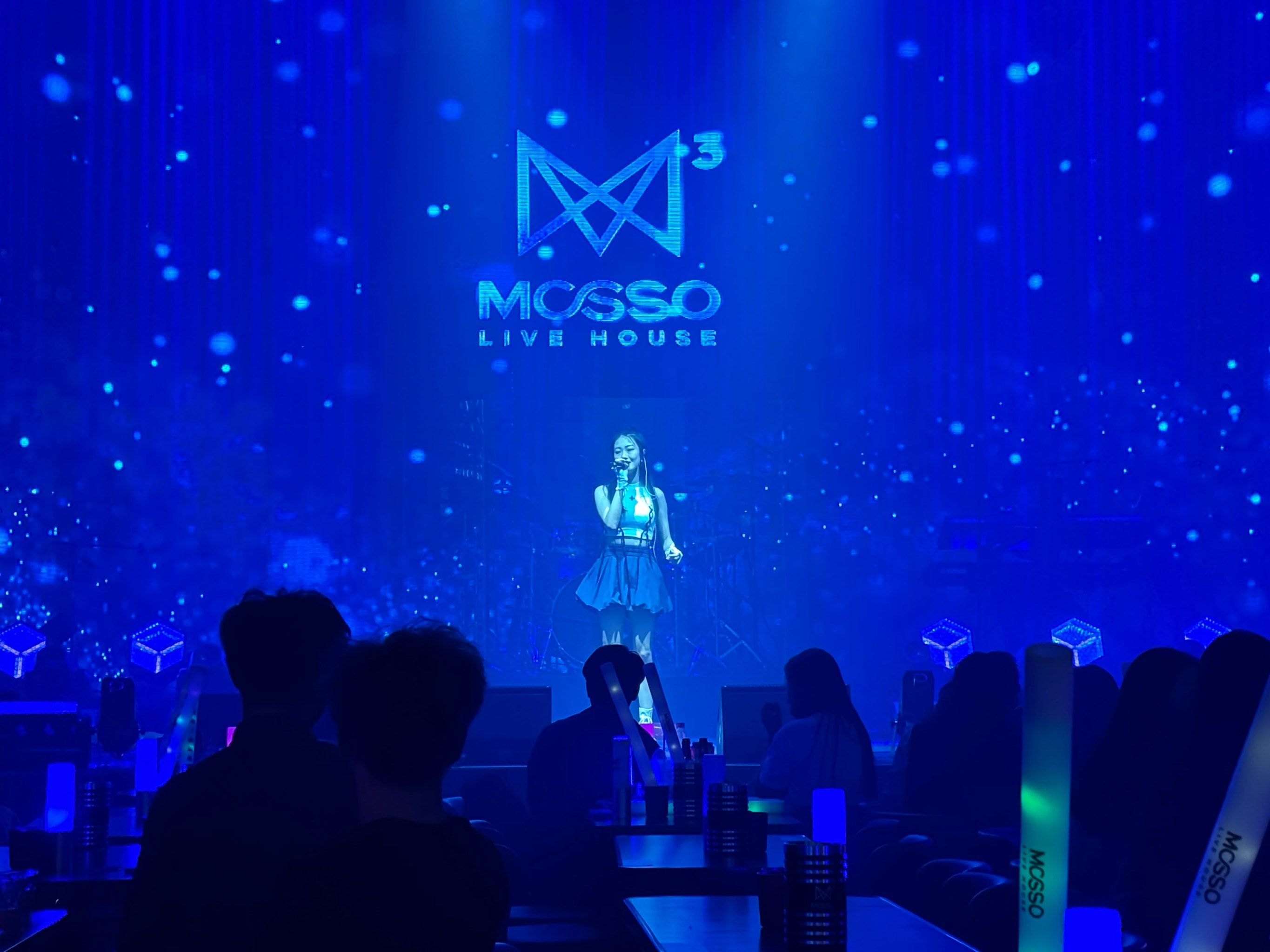 阜新商务KTV，商务KTV是什么意思-太平区ktv预定